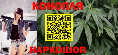 шишки Гусиноозёрск